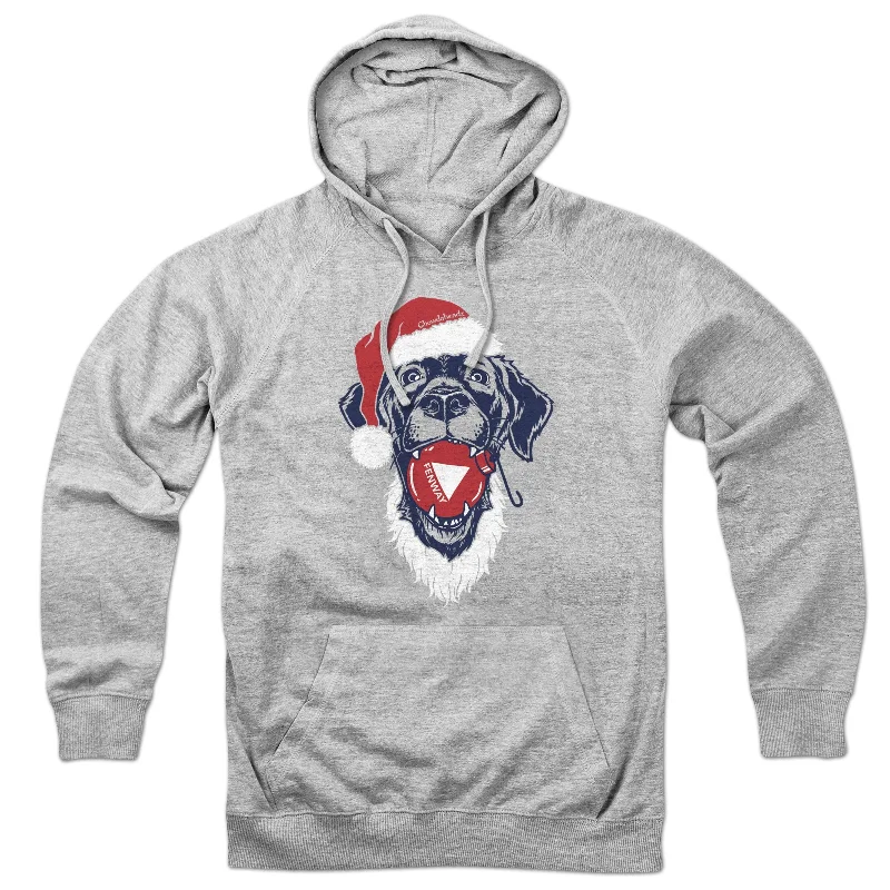 Stylish Tie-Dye Hoodies for Unique Style-Santa Paws Fenway Dog Hoodie