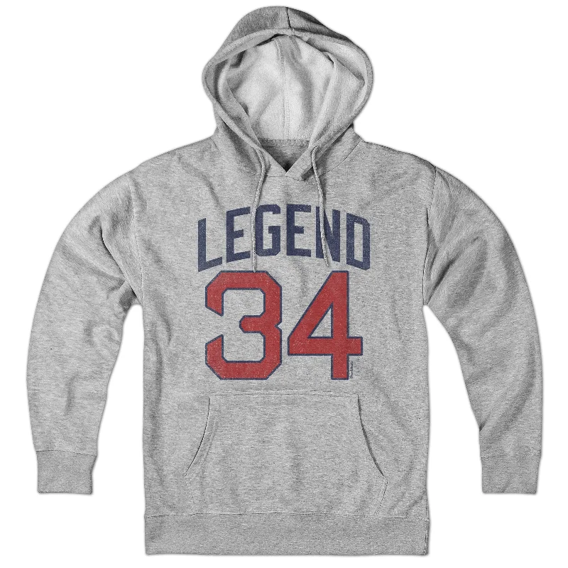 Streetwear Hoodies for Urban Fashion-Legend 34 Alter Ego Hoodie